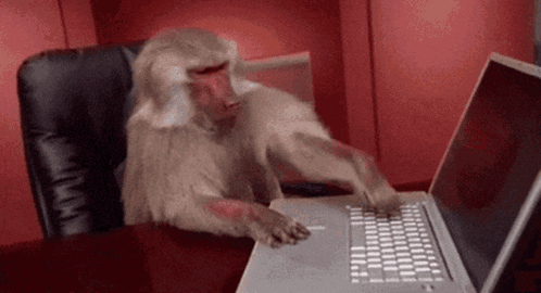 Monkey Typing